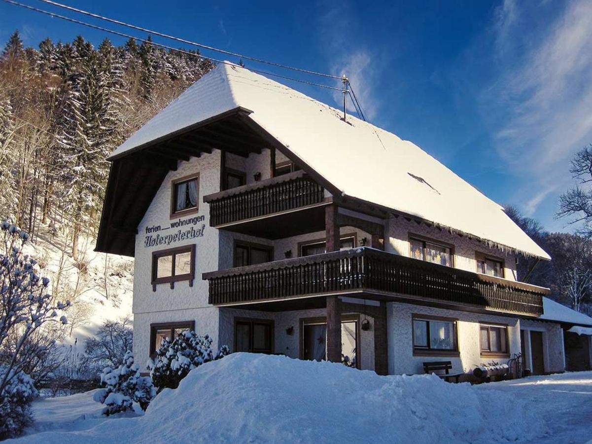 Hoferpeterhof Lägenhet Bad Peterstal-Griesbach Exteriör bild