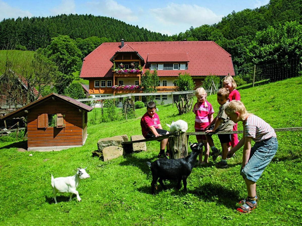 Hoferpeterhof Lägenhet Bad Peterstal-Griesbach Exteriör bild